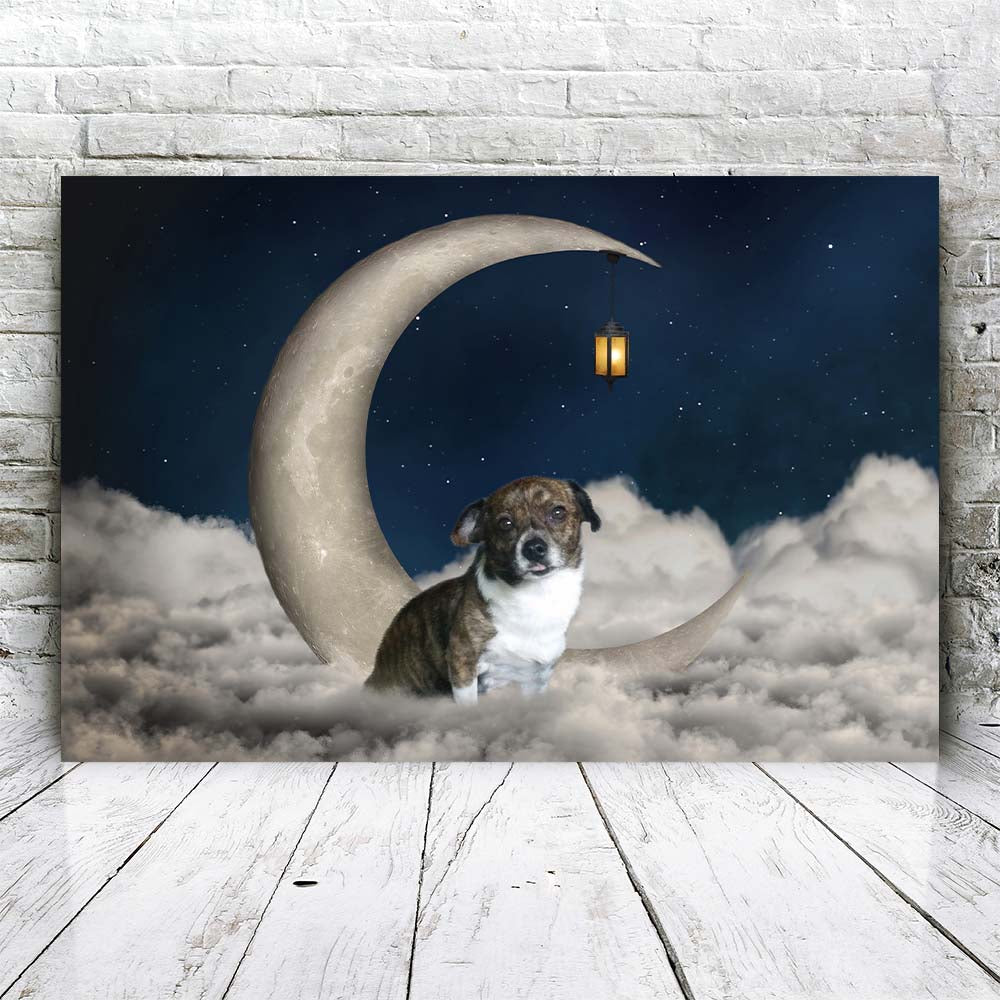 Luna de sueño