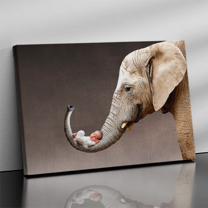 Baby Elephant Trunk - Custom Portrait