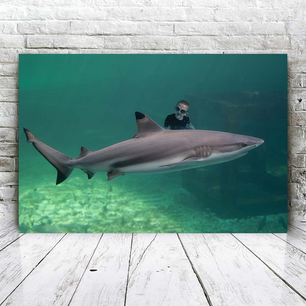 Swimming Shark - Custom Portrait