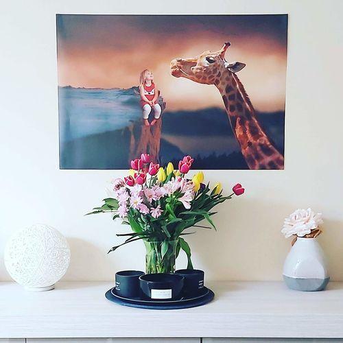 Etende giraffe - Unieke Foto